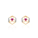 Earrings Yellow Gold APS00358E